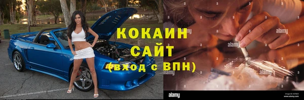 бошки Алзамай