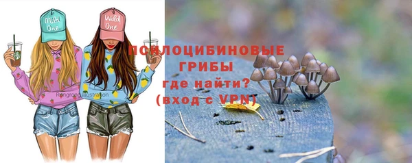 бошки Алзамай
