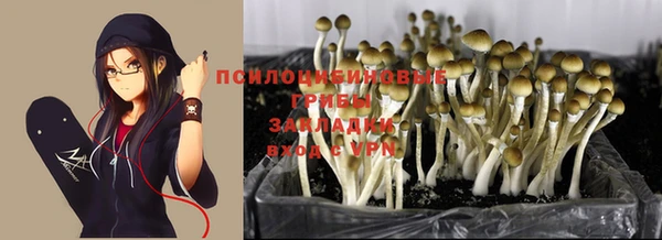 кокаин Алексин